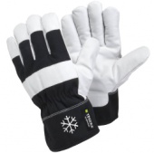 Перчатки для защиты от пониженных температур Ejendals AB TEGER0A 377